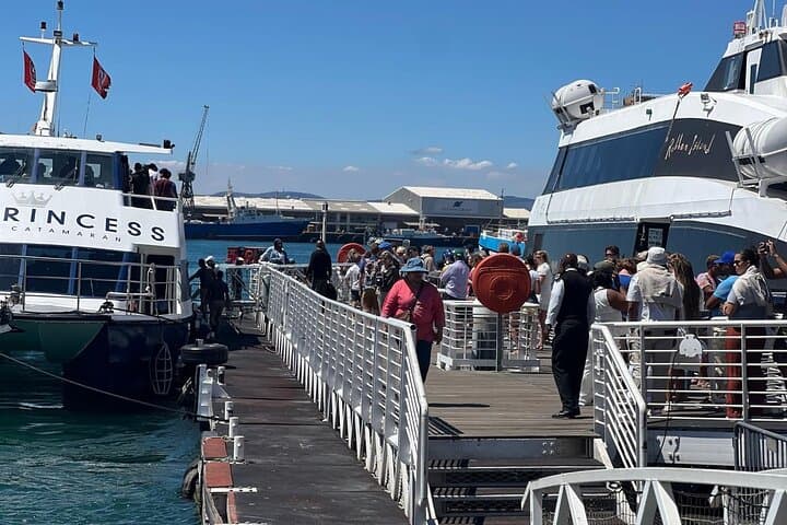Robben Island Half‑Day Tour from Cape Town — Prebooked Ticket & Guided Prison Visit