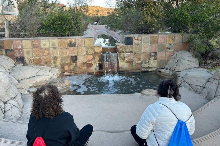 San Diego Mountain Hike and Guided Meditation — Beginner-Friendly Nature Walk photo 3