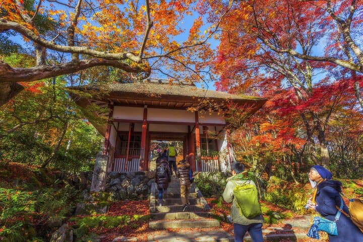 Private Transfer to Fragrant Hill & Beijing Botanical Garden — Self-Guided Day Trip