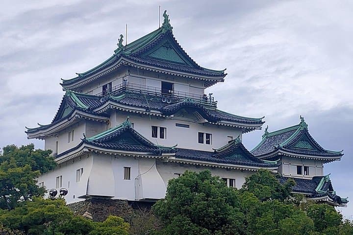 Wakayama Day Trip from Osaka: Castle, Garden & Coastal Market Highlights photo 3