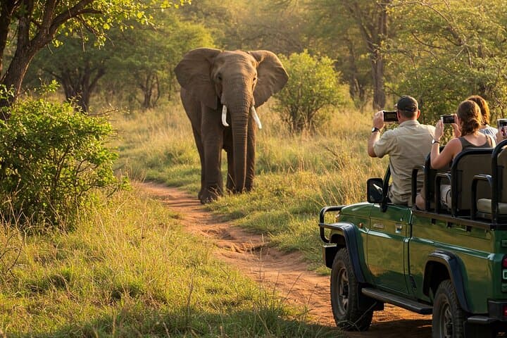 Full-Day Kruger Safari from Maputo — Open-Backed Game Drive at Crocodile Bridge