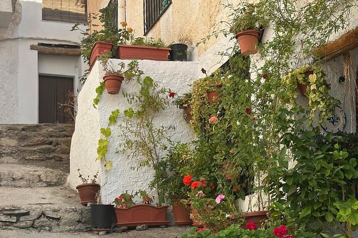 Hike the Alpujarras: Private Day Tour from Granada to Bubión, Pampaneira & Capileira