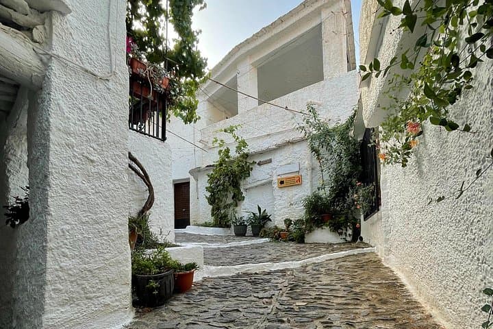 Hike the Alpujarras: Private Day Tour from Granada to Bubión, Pampaneira & Capileira photo 4