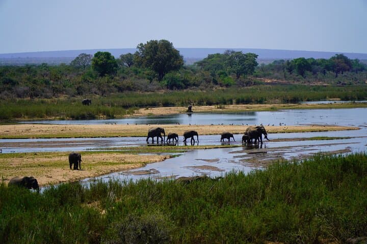 Full-Day Kruger Safari from Maputo — Open-Backed Game Drive at Crocodile Bridge photo 5
