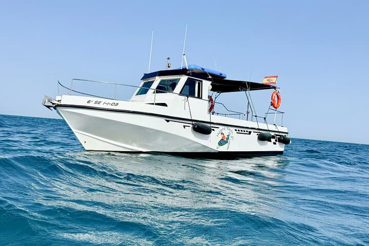 Benalmadena Private Boat Trip with Open Bar — Snorkel, Fish & Dolphin Watch photo 2