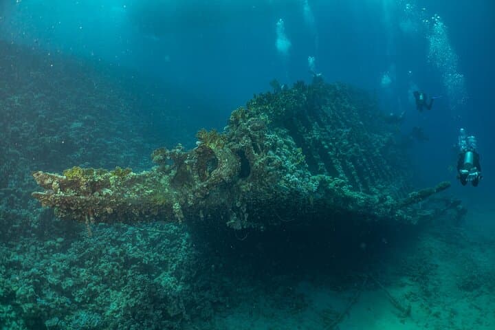 El Gouna Two‑Dive Scuba Trip: Red Sea Day Boat from Abydos Harbor photo 3