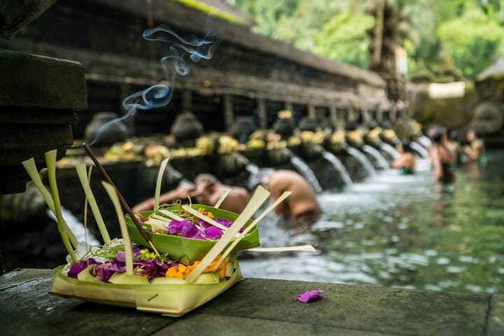 Ubud Highlights: Rice Terraces, Temple, Waterfall & Monkey Forest Day Tour photo 3