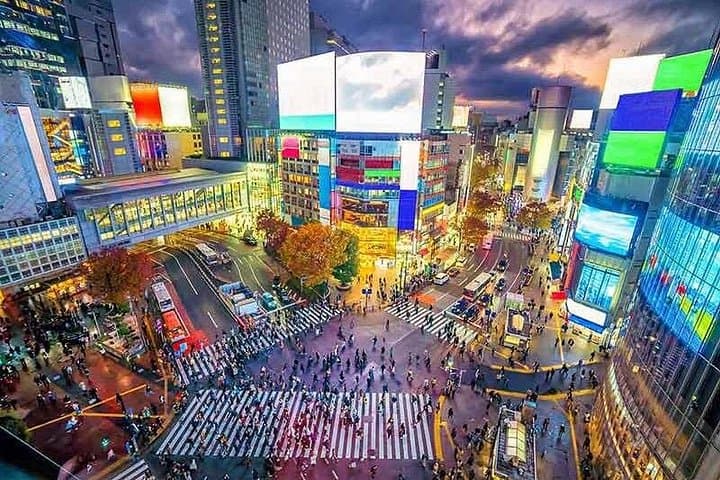 Private Tokyo Walking Tour: Shibuya, Harajuku & Senso-ji with English Guide photo 2