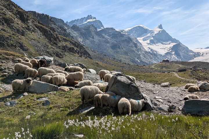 Hike Zermatt’s Five Lake Trail: Sunnegga, Stellisee & Alpine Reflections photo 3