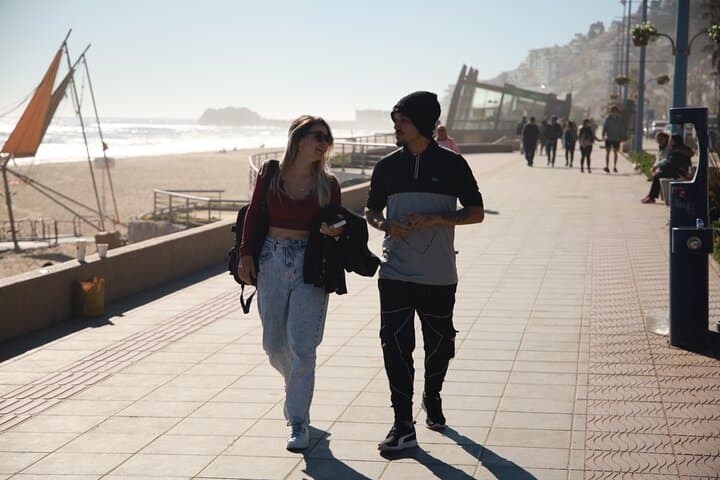 Full-Day Valparaíso & Viña del Mar Tour from Santiago — Coastal Culture, Street Art & Seaside Views