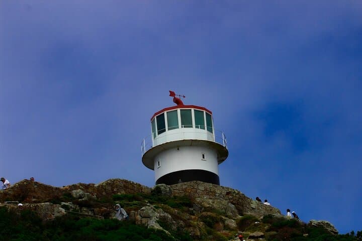 Cape Point & Boulders Beach Half-Day: Penguins, Cliffs and Chapman’s Peak Drive photo 5