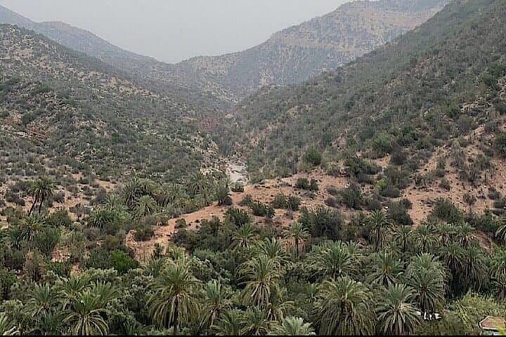 Paradise Valley Day Trip from Agadir: Swim, Hike & Berber Villages photo 3