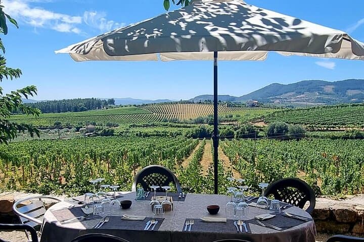 Douro Valley Wine Tasting, Boat Cruise & Lunch from Porto photo 6