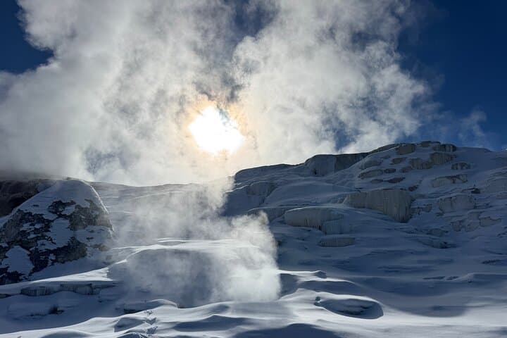 Exploring Yellowstone’s Winter Wildlife: A Private Safari from Bozeman to Lamar Valley photo 2