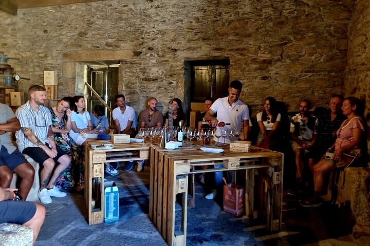 Douro Valley Wine Tasting, Boat Cruise & Lunch from Porto photo 3