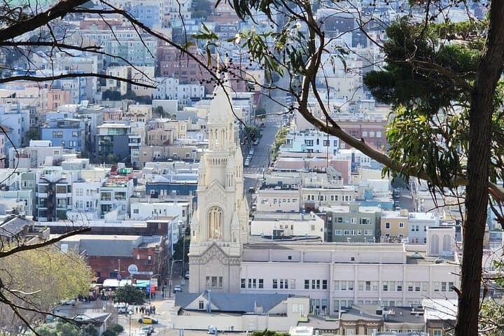 San Francisco Bay Cruise and City Combo Tour: Golden Gate, Alcatraz & Fisherman's Wharf photo 5