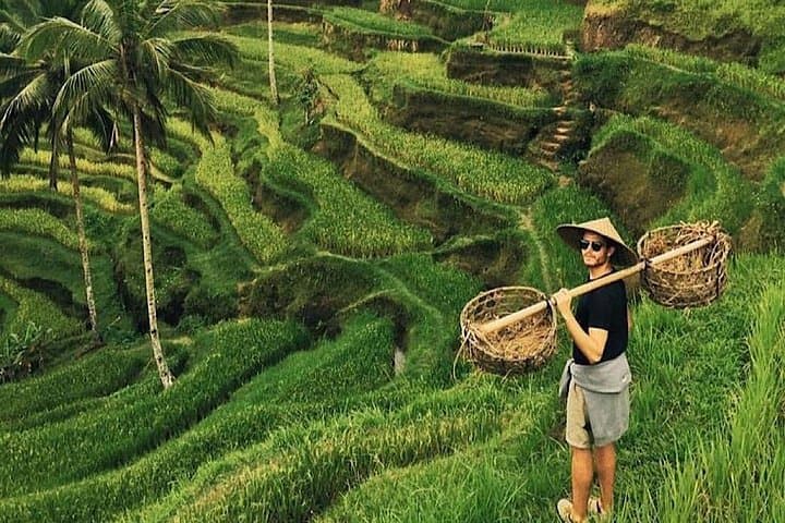 North Bali Shore Excursion from Celukan Bawang — Lovina, Waterfalls & Ulun Danu Day Tour photo 2