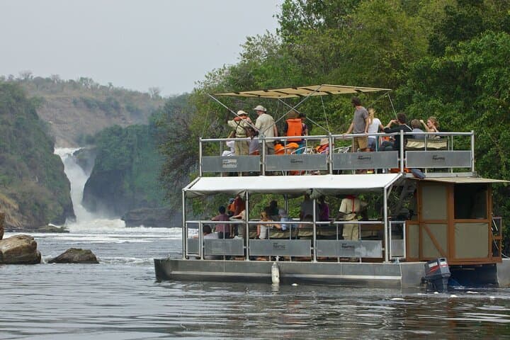 4-Day Uganda Safari: Murchison Falls & Ziwa Rhino Sanctuary photo 3
