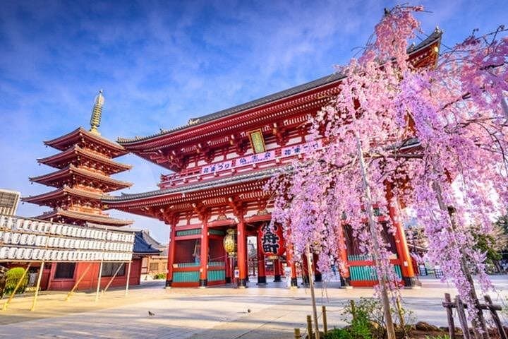 Private Tokyo Walking Tour: Shibuya, Harajuku & Senso-ji with English Guide photo 3