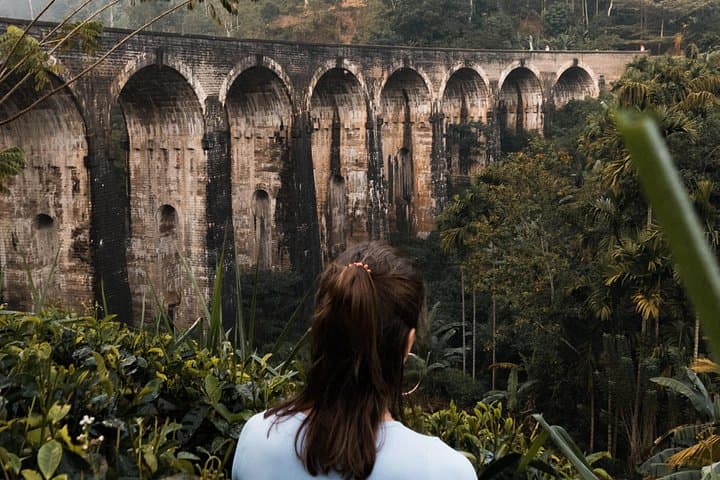 Ella Day Tour from Hambantota: Nine Arches, Little Adam's Peak & Tea Factory Experience photo 2