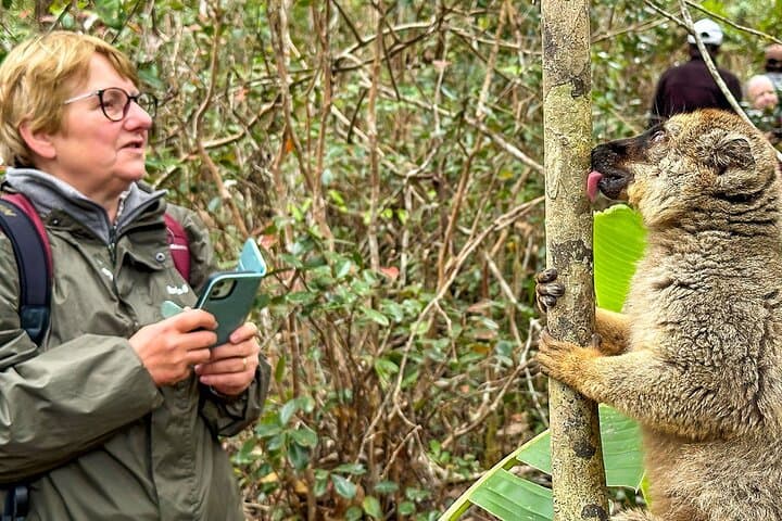 Madagascar 14-Day Classic Route: Wildlife, Baobabs & National Parks photo 5