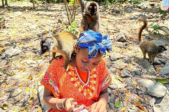 Madagascar 14-Day Classic Route: Wildlife, Baobabs & National Parks photo 4