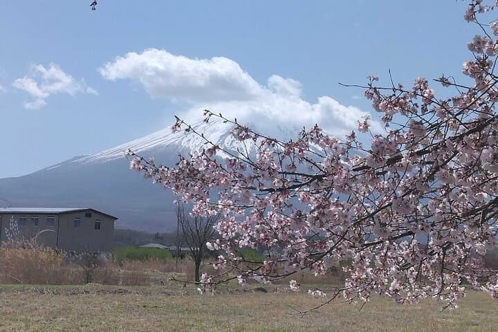 Tokyo to Mt. Fuji Helicopter Tour: 75–90 Minute Scenic Flight from Tokyo Heliport photo 3
