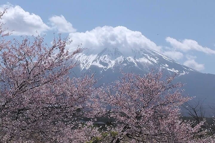 Tokyo to Mt. Fuji Helicopter Tour: 75–90 Minute Scenic Flight from Tokyo Heliport photo 2