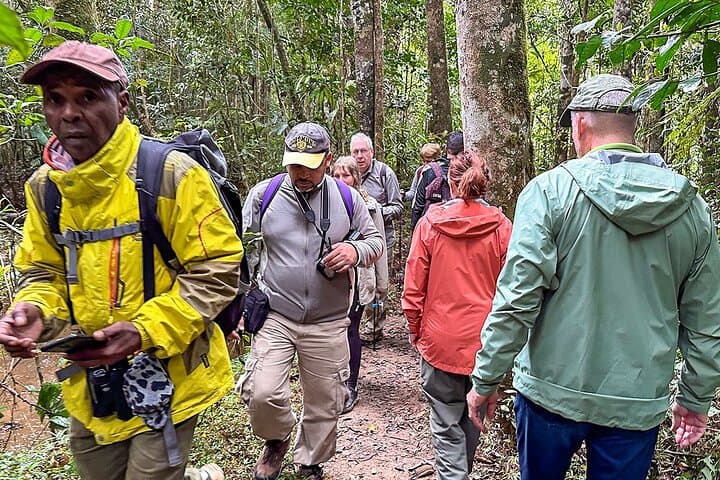Madagascar Baobab & Tsingy: 9-Day Family Safari from Antananarivo photo 6