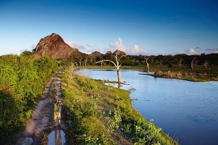 Bundala National Park Safari from Hambantota — Flamingos, Elephants & Coastal Wetlands photo 6