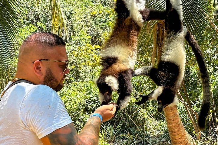 13-Day Madagascar Wildlife & Beach Adventure: Lemurs, Tsingy Rouge & Nosy Be photo 3