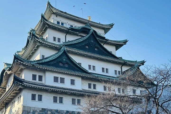 Nagoya Cherry Blossom Private Sightseeing Tour: Castle Views & Hidden Parks photo 2