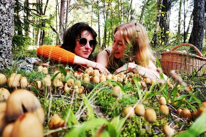 Autumn Mushroom Foraging in Latvia: Guided Riga Forest Foraging Experience photo 2