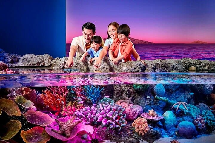 SEA LIFE Bangkok Ocean World: The Aquarium Beneath Siam Paragon photo 2