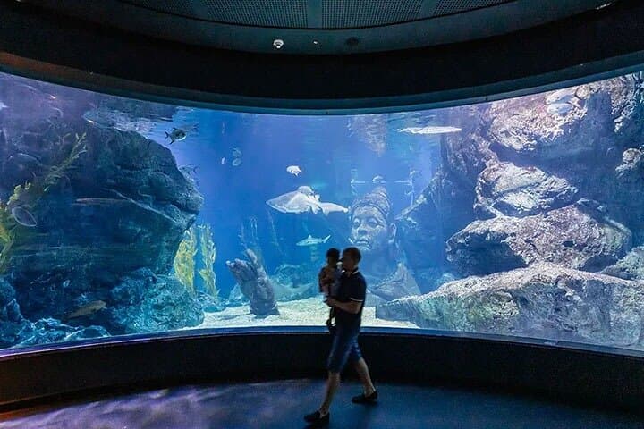 SEA LIFE Bangkok Ocean World: The Aquarium Beneath Siam Paragon photo 4