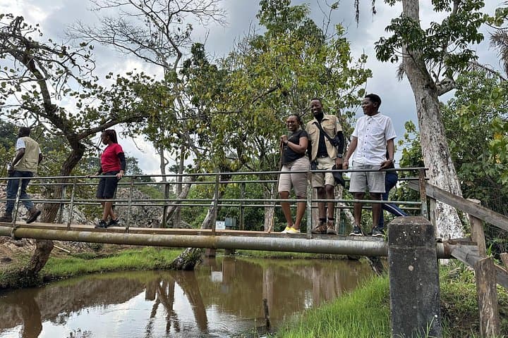 Jinja Adventure Day Tour — Mabira Forest, Griffin Falls Zipline & Source of the Nile photo 2