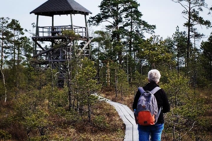 Cenu Bog Walking Trail Near Riga — Quiet Boardwalks Through Latvia's Moorland photo 3