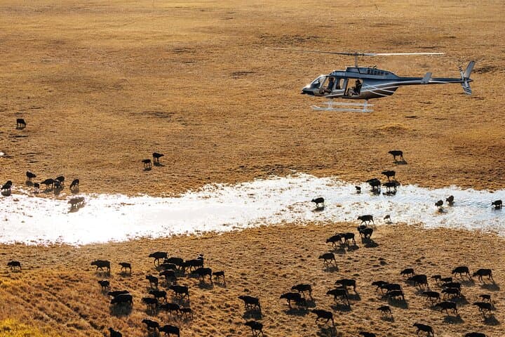 Okavango Delta Helicopter Tour with Champagne Stop — 45-Min Scenic Flight from Maun