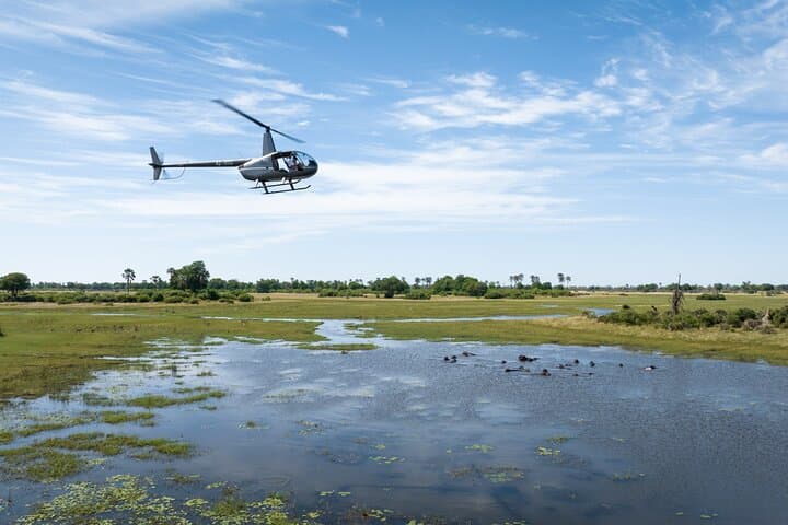 Okavango Delta Helicopter Tour with Champagne Stop — 45-Min Scenic Flight from Maun photo 3