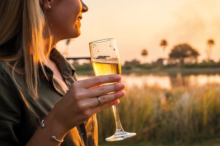 Okavango Delta Helicopter Tour with Champagne Stop — 45-Min Scenic Flight from Maun photo 2