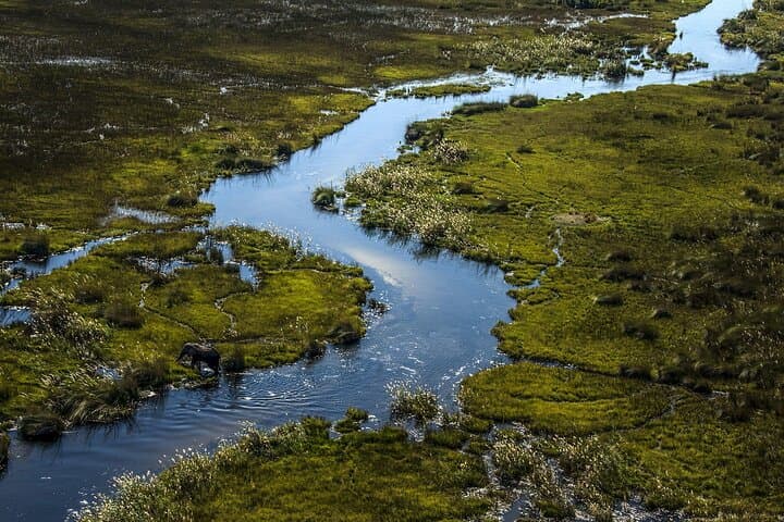 Okavango Delta Helicopter Tour with Champagne Stop — 45-Min Scenic Flight from Maun photo 5