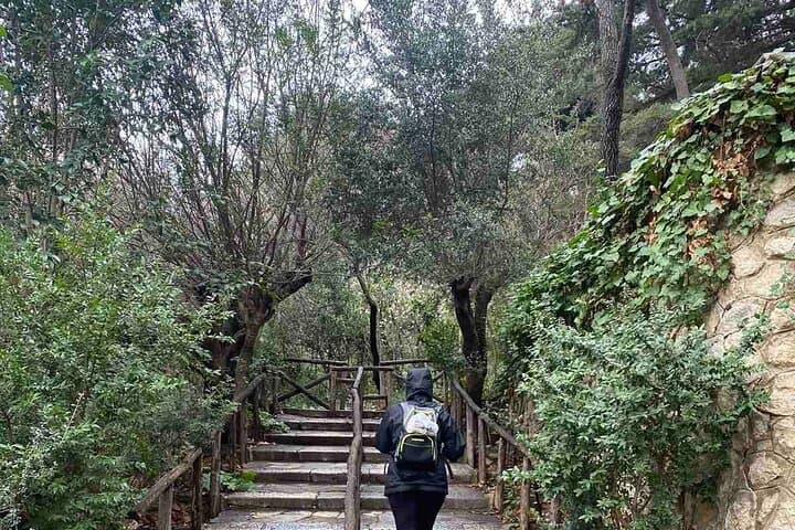 Hike Mount Hymettus: Athens Day Hike to Kaisariani Monastery and Anthousa Tower photo 2