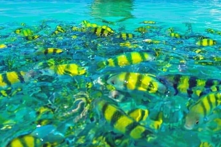 Sunset Snorkel & BBQ: Krabi 7 Islands Tour with Bioluminescent Plankton photo 6