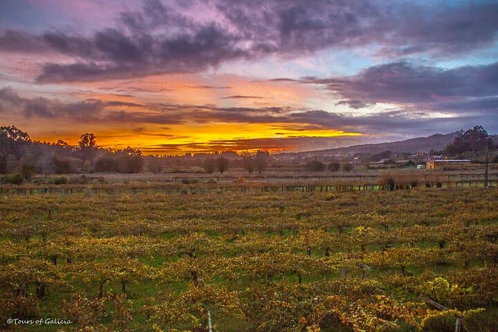 Albariño Private Tour: Combarro, Bodegas Vionta & Michelin-Star Lunch