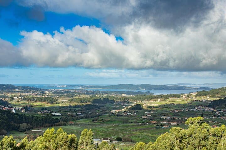 Albariño Private Tour: Combarro, Bodegas Vionta & Michelin-Star Lunch photo 2