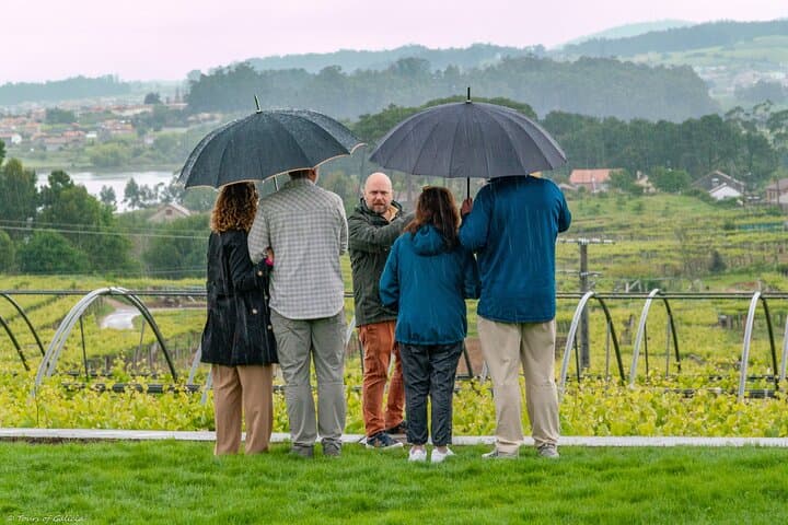 Albariño Private Tour: Combarro, Bodegas Vionta & Michelin-Star Lunch photo 6