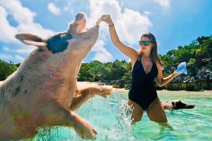Exuma Cays Day Cruise: Swimming Pigs, Nurse Sharks & Thunderball Grotto photo 3
