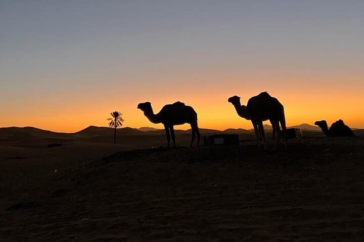 3-Day Private Moroccan Desert Tour: Marrakech to Merzouga & Erg Chebbi photo 2