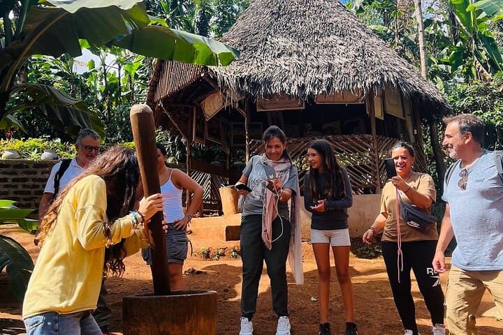 Materuni Waterfalls & Chagga Coffee Tour — Hike, Waterfall & Kilimanjaro Views photo 5