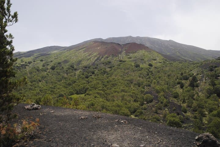 Mount Etna & Alcantara Gorges Day Tour from Taormina: Lava Hikes and River Walks photo 3